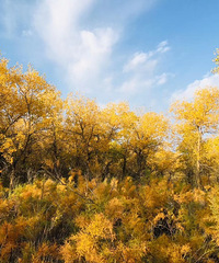 ����������������Լݵ���ˮ��