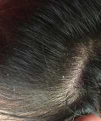 ôŶ7ŮͻȻð˺ܶͷƤм