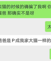 花2万多买的猫病了,卖家还P图