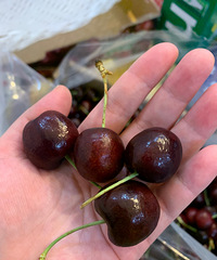 ���������������ˮ�����л�ع��ģ�Ҳ�в��׵�