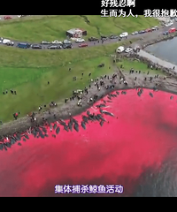 ɱ����Ļ��棬һƬѪ������Ŀ����