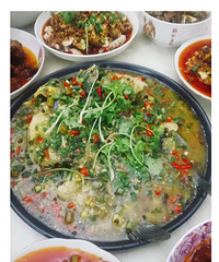 ����ʳ���˶�����������Ȥ�ģ�������������ʳ