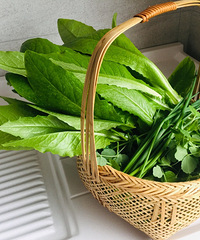 ֲ˲һҪ԰Ӿ͸㶨Ҽ߲˹Ϲ