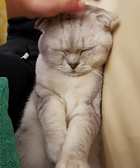 ��ů�ڽ����ˣ��ײ����쿪��ż���������ĸ���ʡǮ