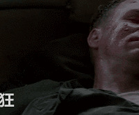 8��������Ⱦ����Ƭ����������ʵ