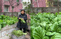 8���߲�2��ˮ������գ��Լ��ֵľ��Ǻó�