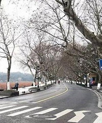 �����´�Ҷ������� �����ĳ����ܡ�������β������