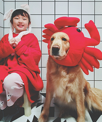永身难忘的庚子年
