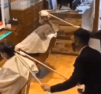 ����ʱ�ڵ������꣬������Ӫҵ��