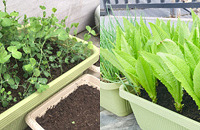 ˭˵��Ҫ��԰���������Ӿ͸㶨���Ҽ��߹�������