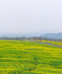 春暖花开,百花齐放,广阳岛