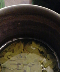 �����Ƕ����Ÿ����Ȳ������������Ų���ʶ�˲�