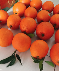 �����֭�Ŀ��ش���һ��������3������ͷ��������