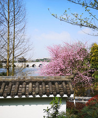 ��԰��԰��10�����������ѿ�������������һ��լ���ƿ�����