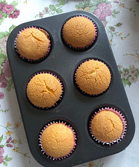 �㲻��������ֵ���õľ��ǳԣ�ÿ�����ٷ����ٶٲ���