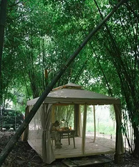 ��ͽ�ֱ��ķ���Ժ�ӣ�����һèһ����������ʫ������