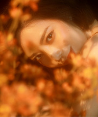 ÿ�����ն��Դ��٤�������Σ���һ�鳬ϲ����ֱ�Ӽ���25����Ƭ