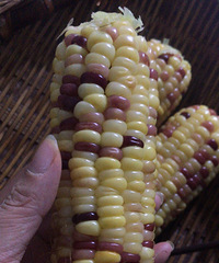 �����˫���򵽺ö���������ʵĺ��ʺ�ˮ��