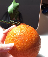 ���ݿ������ϰ���Ҫ��Ҫ������