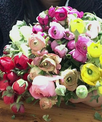 ҵĵ,29.8Ԫ60֧û㰡