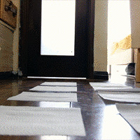 ʵ10УԼȫʡģ