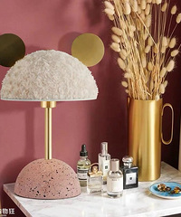 ɱ˼ҵļҾӺҵĹﳵ20