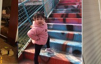 抓狂!幼儿园何时把神兽收回去?