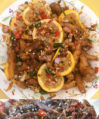 ���������в�̫���������ң����Ҳ���Ƴ��˴��