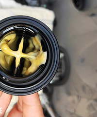 ȫ���ٷš������š��������� ���������򲹶����޷�����