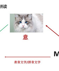 什么是自然拼读?在家如何给小孩进行英语自然拼读启蒙教学?