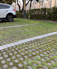 ɳ��·����һ���ֶ����ţ��ſڵĳ�λ��������