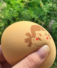 �����ɷ��˿ɰ������������һ��