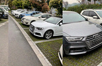 ���������轵�������������ͷ�ö�δ���Ƶ��³�