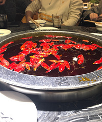 ���Ѫ��ʷ����Ӧ��һ����Ҫ�����������ȥ��ʳ