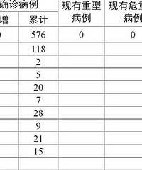 重庆现有在院确诊病例,6例!