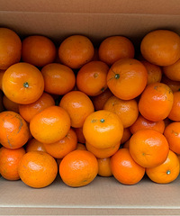 �����ڼ�Ե�����˲�ˮ�ֺóԵ��ָ̺͹��ܹ�