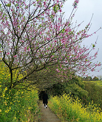 【春天好去处】理想踏青方式,自助烧烤来一波
