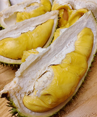 ���ز���Ϊ�����еİ����ˣ������̫�ó���