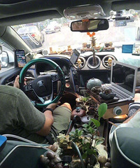 �������װ�Σ�ʲôˮƽ��