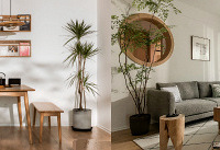 85ƽ��ʽԭľ���ҵ�������������һĨ����