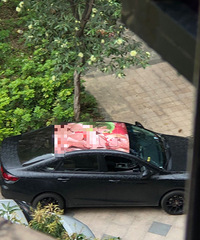 �ٱ����⳵�����ɫ