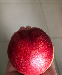 ���Ѽĵĺ�ͮͮ�����Ҽ�ֱ�ж�����̫�ó���