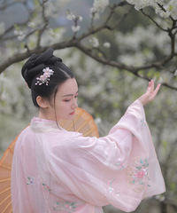 北碚铁厂沟的李花林开的正好