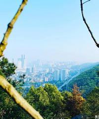 南山半日游