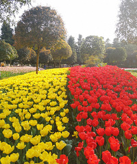 ̤�̫࣡����ɭ�ֹ�԰