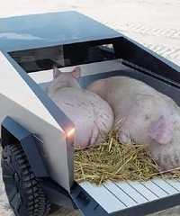 �������˹��Ƥ�����ô���