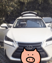 ���ſ��žͺ�����ˣ�NX��ؤ��2000�������