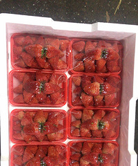 ���黺�ͣ���̽��԰��ˮ�������г�����ӭ��λ����