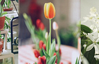 �������������һ��̨�Ļ����ݲ���飬��ȫ������