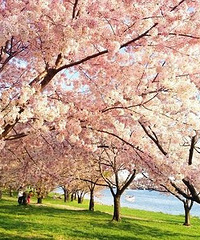 ��Ĳز�ס�����������·�ȥ�����ͻ������